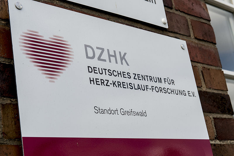 DZHK-Standort Greifswald